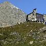 ingrandisci