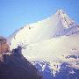ingrandisci