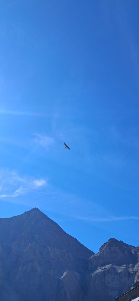 Rifugio Tazzetti